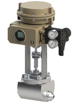 Samson valves 1